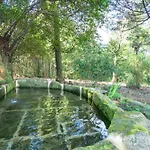 Quinta Lamas - Oak Tree House Holiday home Vouzela