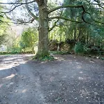 Quinta Lamas - Oak Tree House * Vouzela