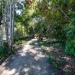 Quinta Lamas - Oak Tree House *