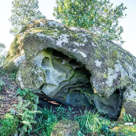 Quinta Lamas - Oak Tree House Σπίτι διακοπών Vouzela