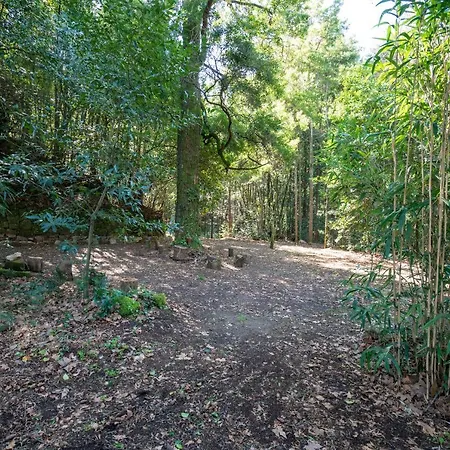 Σπίτι διακοπών Quinta Lamas - Oak Tree House Vouzela