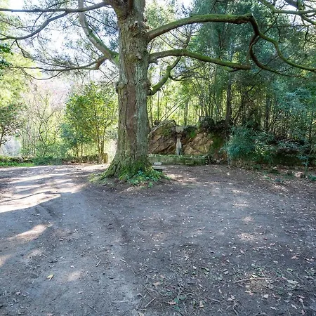 Quinta Lamas - Oak Tree House * Vouzela