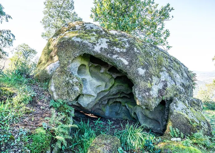 Quinta Lamas - Oak Tree House Сasa de vacaciones Vouzela