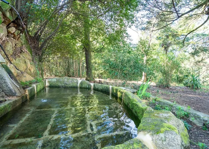 Quinta Lamas - Oak Tree House Сasa de vacaciones Vouzela