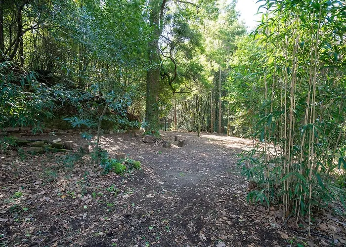 Сasa de vacaciones Quinta Lamas - Oak Tree House Vouzela