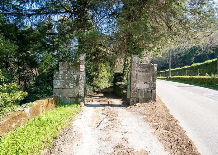 Quinta Lamas - Oak Tree House Сasa de vacaciones *