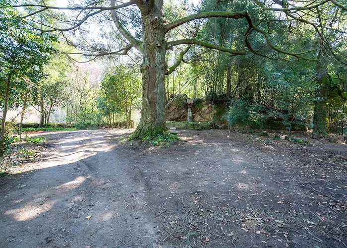 Quinta Lamas - Oak Tree House * Vouzela