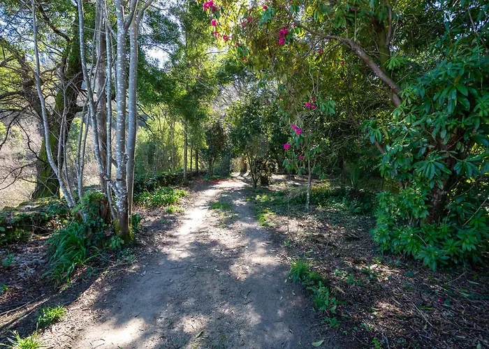 Quinta Lamas - Oak Tree House *